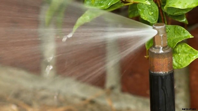 8 Common Sprinkler System Problems and Solutions