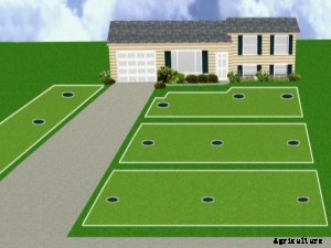 8 Common Sprinkler System Problems and Solutions