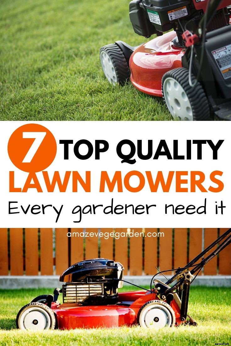 Reviews of 7 Top Quality Lawn Mowers