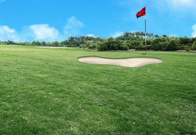 The Toro Company and Their Dealers