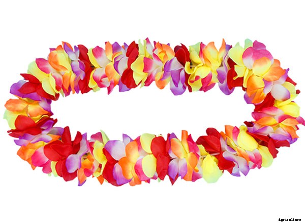 Knowing What Flower are Hawaiian Leis Made of?