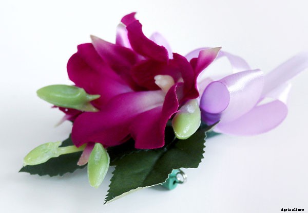 Knowing What Flower are Hawaiian Leis Made of?