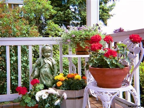 Container Gardens For Different Occasions