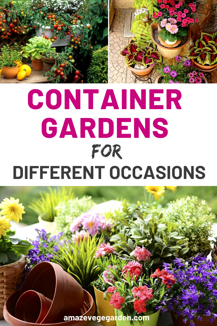 Container Gardens For Different Occasions