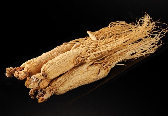 Growing Ginseng – Picking, Planting, Caring, Harvesting and Transplanting