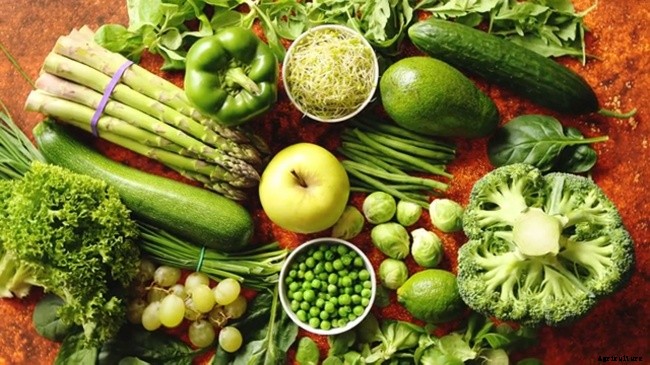 10 Best Garden Crops For Beginners