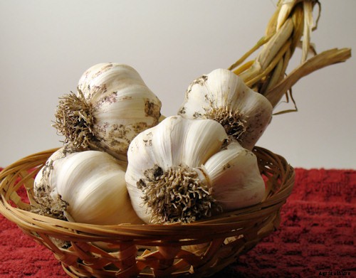 10 Best Garden Crops For Beginners