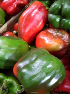 29 Flowers and Plants You Can Have For Your Garden