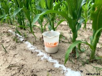 Recommendations for Liming and Fertilizing Vegetables