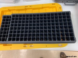 Starting Seeds Indoors