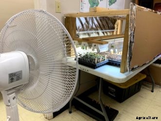 Starting Seeds Indoors