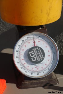 Calibrating Spreaders