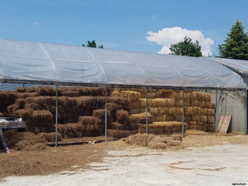 Straw Bale Gardening