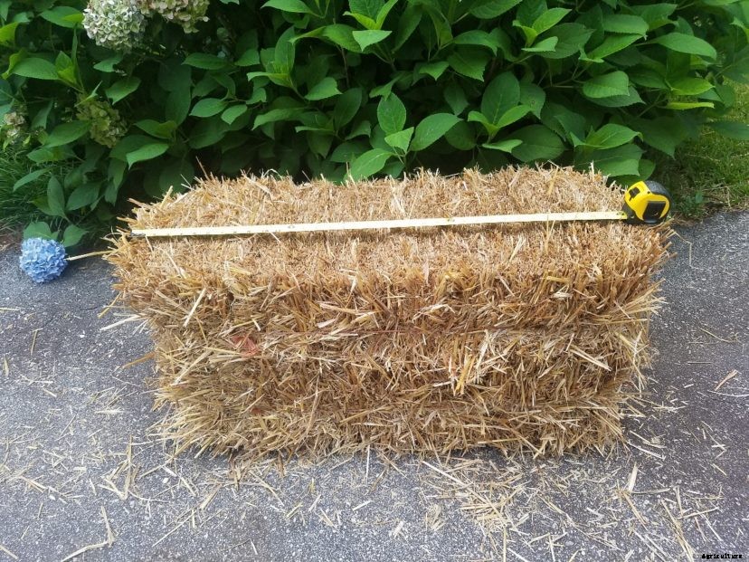 Straw Bale Gardening