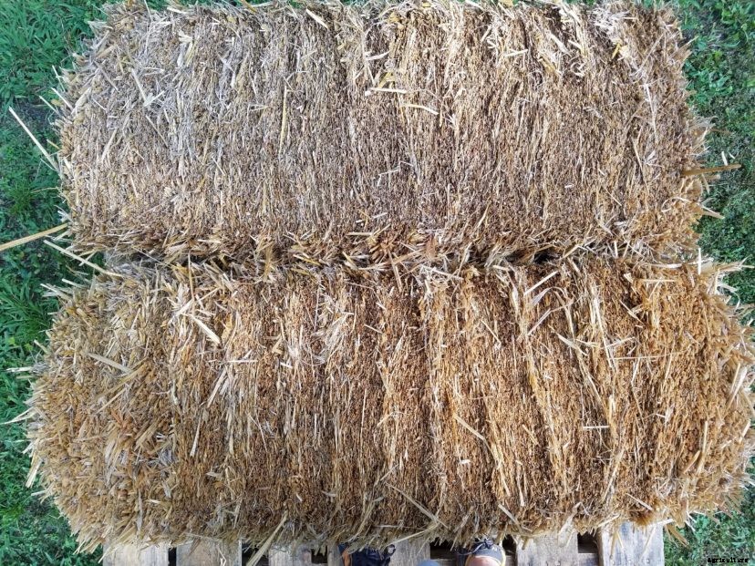 Straw Bale Gardening