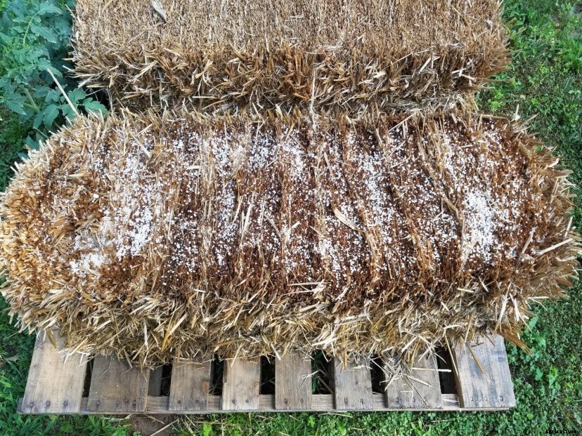 Straw Bale Gardening