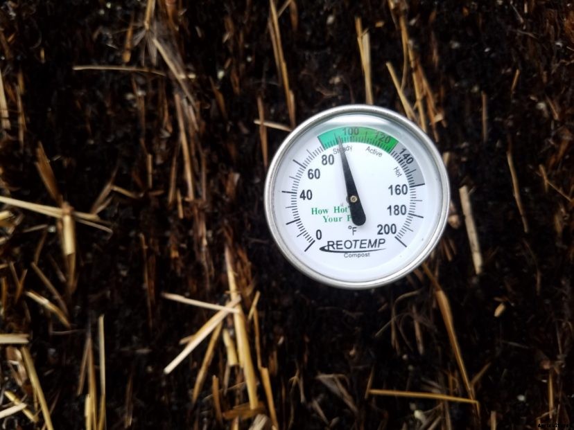 Straw Bale Gardening