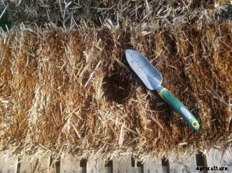 Straw Bale Gardening