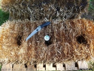 Straw Bale Gardening