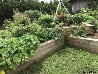 Raised Beds