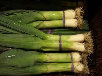 Onion, Leek, Shallot, & Garlic