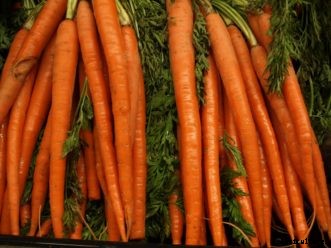 Carrot, Beet, Radish & Parsnip