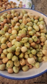Southern Peas