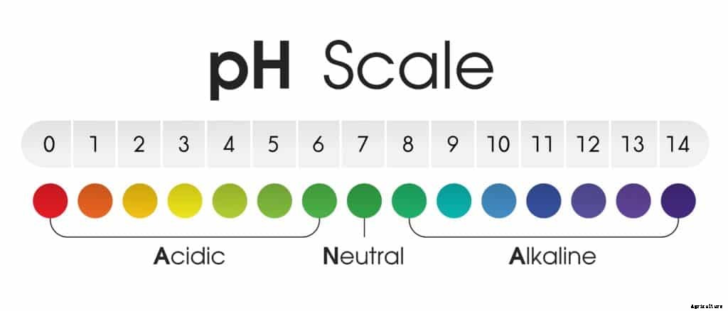 What Is The Best Soil pH For Peppers?