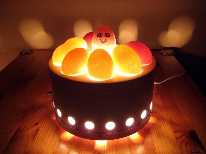 Poultry Farm Equipment: All You Need to Start Poultry Farming