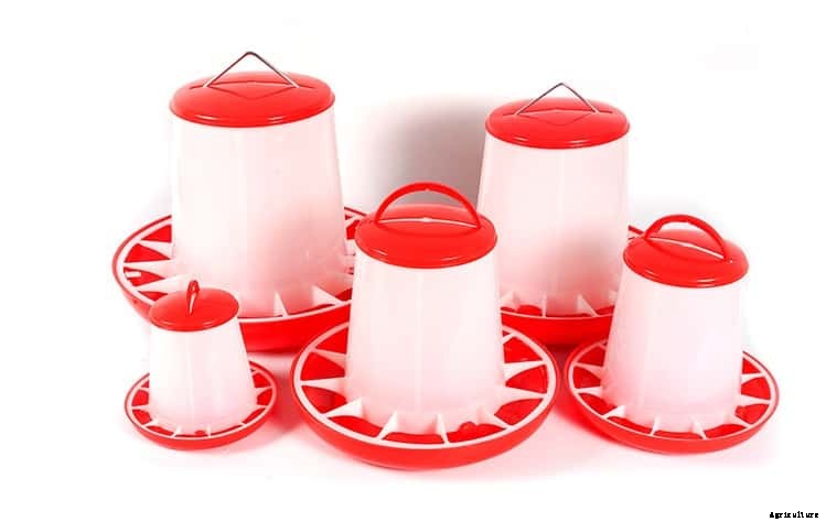 Poultry Farm Equipment: All You Need to Start Poultry Farming