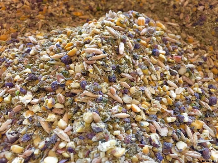 How to Make The Best Organic Chicken Feed For Your Farm