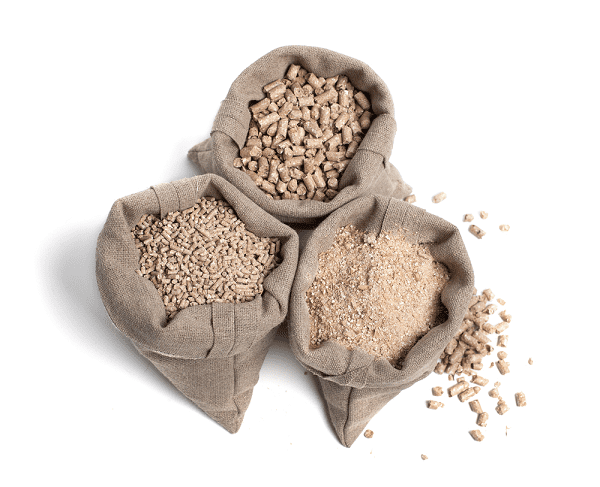 What do Chickens Eat to Grow Big?