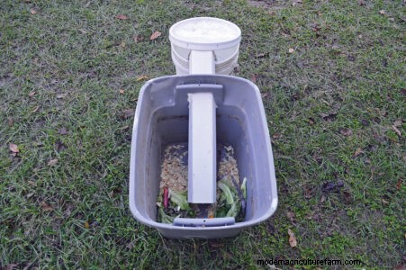 How to Build a Black Soldier Fly Compost Bin