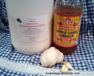The Holistic Trinity – Apple Cider Vinegar, Garlic and DE