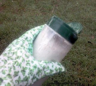 The Holistic Trinity – Apple Cider Vinegar, Garlic and DE