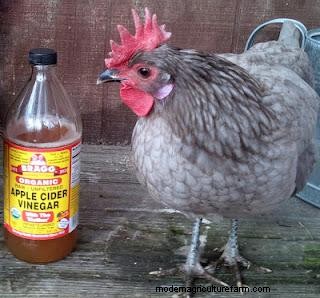 The Holistic Trinity – Apple Cider Vinegar, Garlic and DE