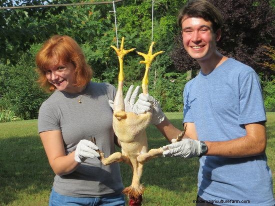 A Chicken in Every Pot – Adventures in Butchering