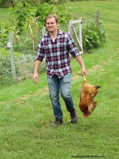 A Chicken in Every Pot – Adventures in Butchering