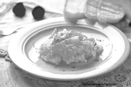 Grow Truffles in the United States