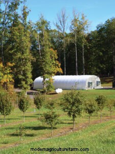 Grow Truffles in the United States