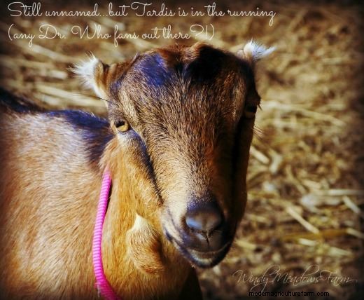 Good Things DO Come in 3s!