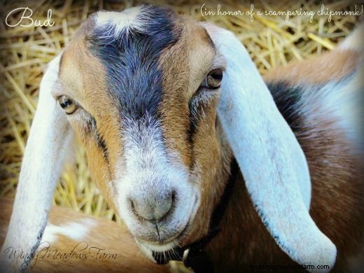 Good Things DO Come in 3s!