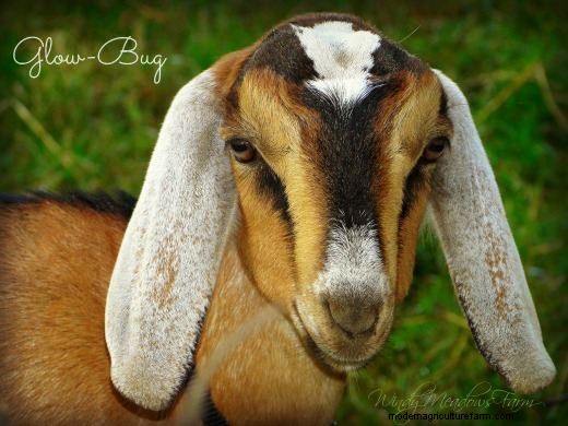 Good Things DO Come in 3s!