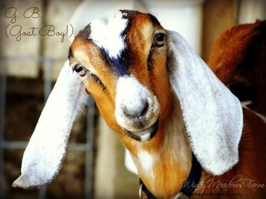 Good Things DO Come in 3s!