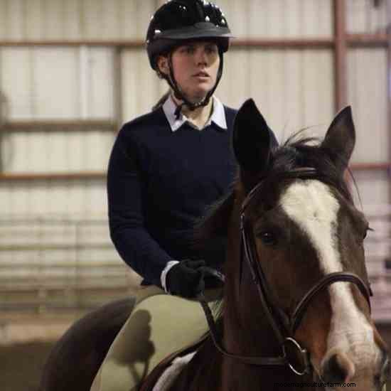 Tips on Learning to Ride a Horse