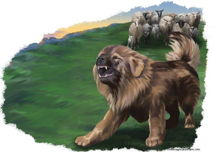 2015 GRIT’s Guide to Raising Farm Animals