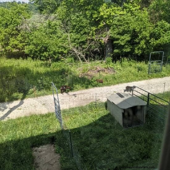 That’s Not A Pasture! Or Is It?