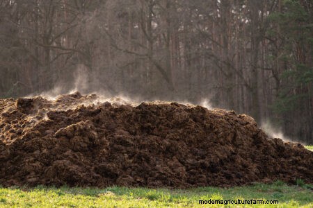 Techniques for Establishing Quality Pasture