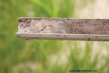 Techniques for Establishing Quality Pasture