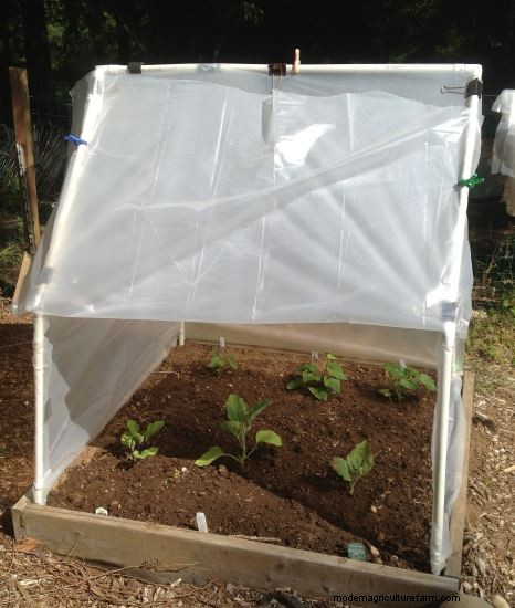 Fine Tuning My Garden